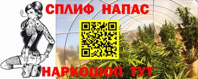 каннабис Обнинск