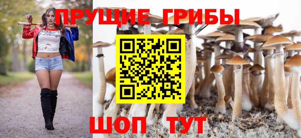 Псилоцибиновые грибы Cubensis Серпухов