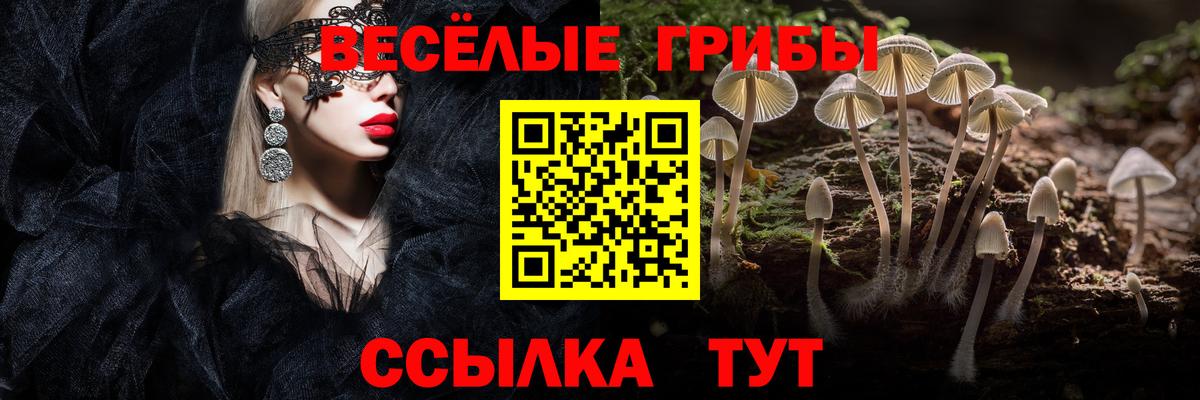 Серпухов  Псилоцибиновые грибы Psilocybe  Вход с VPN  Галлюциногенные грибы Psilocybine cubensis 